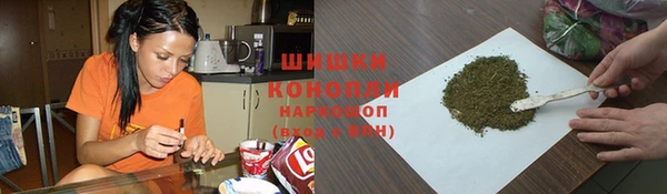 прущие грибы Алексеевка
