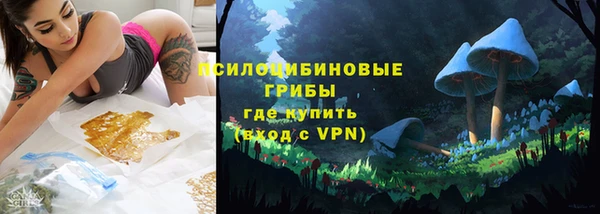прущие грибы Алексеевка